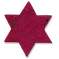 Star of David Herb Plant-A-Shape Bookmark